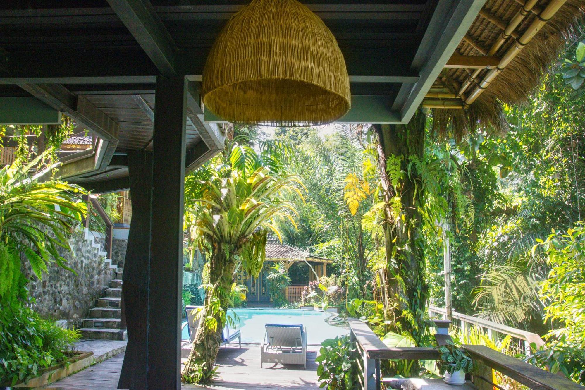 Parvati Retreat Villas Ubud Eksteriør billede