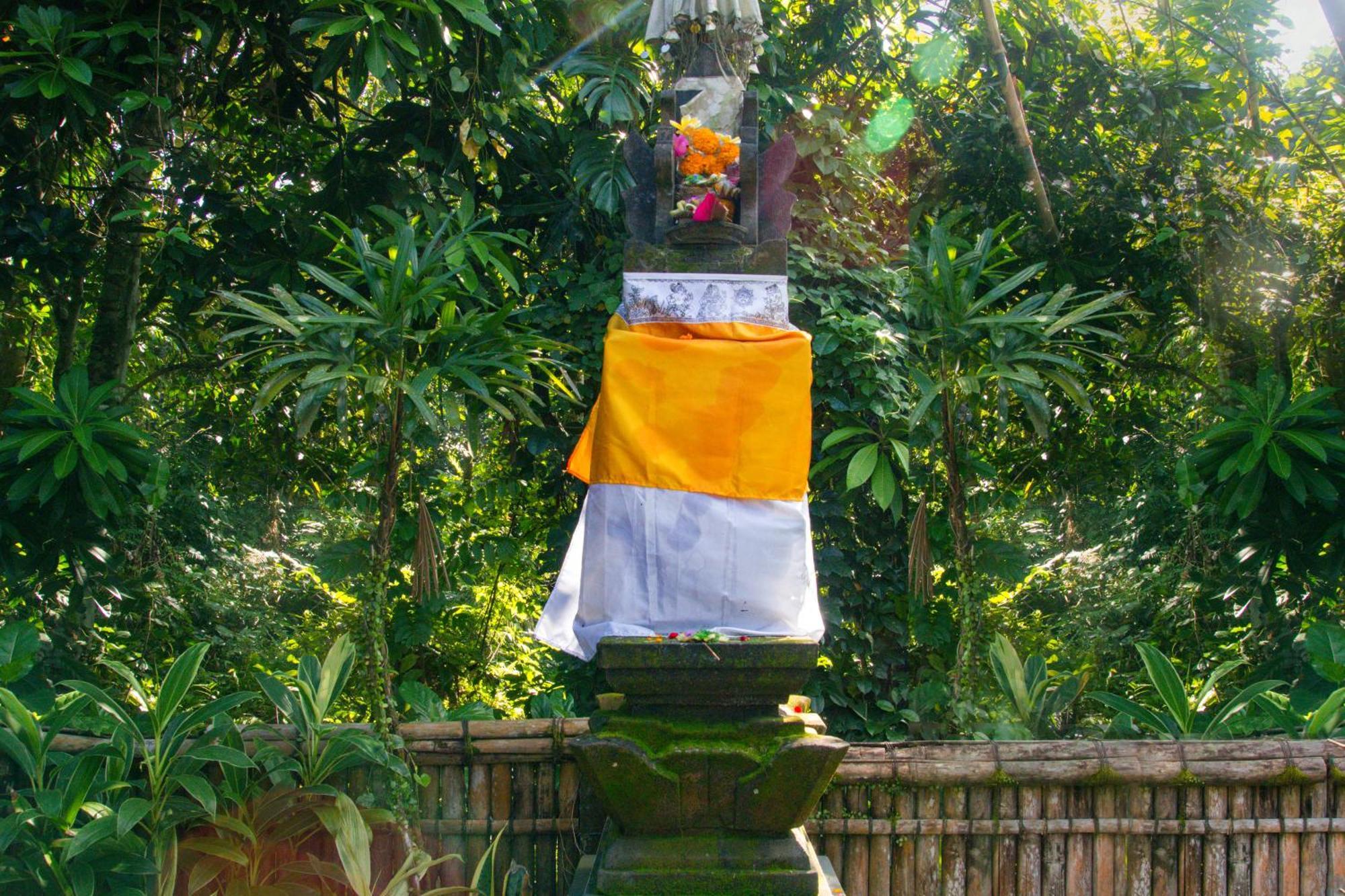 Parvati Retreat Villas Ubud Eksteriør billede